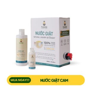 hộp nước giặt fuwa3e